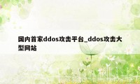 国内首家ddos攻击平台_ddos攻击大型网站