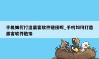 手机如何打造黑客软件链接呢_手机如何打造黑客软件链接