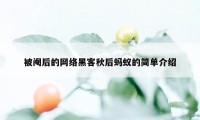 被阉后的网络黑客秋后蚂蚁的简单介绍