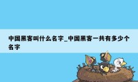 中国黑客叫什么名字_中国黑客一共有多少个名字