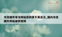 攻击国外非法网站获利算不算违法_国内攻击国外网站被抓视频