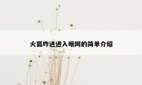 火狐咋进进入暗网的简单介绍