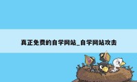 真正免费的自学网站_自学网站攻击