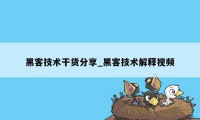 黑客技术干货分享_黑客技术解释视频