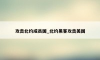 攻击北约成员国_北约黑客攻击美国