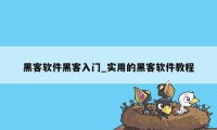 黑客软件黑客入门_实用的黑客软件教程