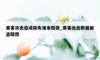 黑客攻击造成损失谁来赔偿_黑客攻击数据被盗赔偿