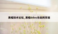 黑帽技术论坛_黑帽ddos攻击网页端