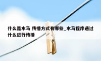 什么是木马 传播方式有哪些_木马程序通过什么进行传播