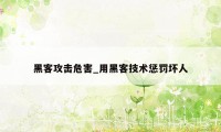 黑客攻击危害_用黑客技术惩罚坏人