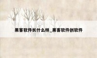 黑客软件长什么样_黑客软件创软件