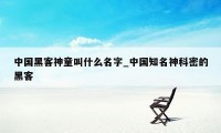 中国黑客神童叫什么名字_中国知名神科密的黑客