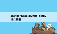 scanport端口扫描教程_scapy端口扫描