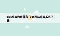 dos攻击教程菜鸟_dos网站攻击工具下载