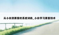 从小白到黑客的系统训练_小白学习黑客技术