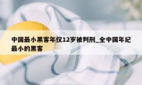 中国最小黑客年仅12岁被判刑_全中国年纪最小的黑客