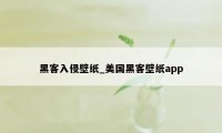 黑客入侵壁纸_美国黑客壁纸app