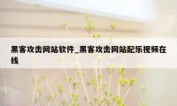 黑客攻击网站软件_黑客攻击网站配乐视频在线