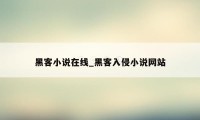 黑客小说在线_黑客入侵小说网站