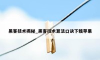 黑客技术揭秘_黑客技术算法口诀下载苹果