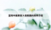 蓝翔中国黑客入侵美国的简单介绍