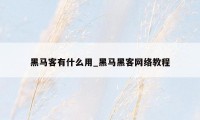 黑马客有什么用_黑马黑客网络教程