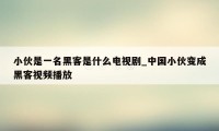 小伙是一名黑客是什么电视剧_中国小伙变成黑客视频播放