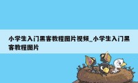 小学生入门黑客教程图片视频_小学生入门黑客教程图片