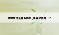 黑客软件是什么样的_黑客软件是什么