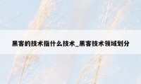 黑客的技术指什么技术_黑客技术领域划分