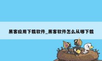 黑客应用下载软件_黑客软件怎么从哪下载