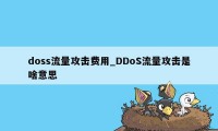 doss流量攻击费用_DDoS流量攻击是啥意思