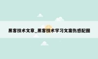 黑客技术文章_黑客技术学习文案伤感配图