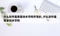 什么软件是黑客技术学院开发的_什么软件是黑客技术学院