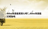 ddos攻击能抓到人吗?_ddos攻击能打死鱼吗