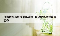 特洛伊木马程序怎么处理_特洛伊木马程序员工作