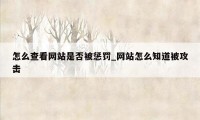 怎么查看网站是否被惩罚_网站怎么知道被攻击