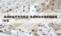 肖战粉丝行为引热议_肖战粉丝攻击的网站是什么