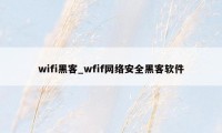 wifi黑客_wfif网络安全黑客软件