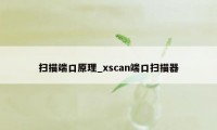 扫描端口原理_xscan端口扫描器