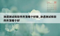 渗透测试和软件开发哪个好做_渗透测试和软件开发哪个好