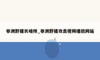 非洲野猪长啥样_非洲野猪攻击视频播放网站