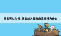 黑客可以入侵_黑客能入侵政府系统吗为什么