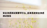 安全渗透测试需要学什么_应用系统安全渗透测试报告