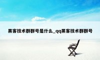 黑客技术群群号是什么_qq黑客技术群群号