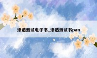 渗透测试电子书_渗透测试书pan