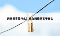 网络黑客是什么?_现在网络黑客干什么