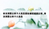 非法泄露公民个人信息罪批捕后退回公安_非法泄露公民个人信息