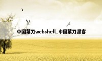 中国菜刀webshell_中国菜刀黑客