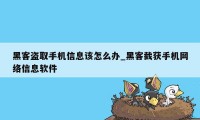 黑客盗取手机信息该怎么办_黑客截获手机网络信息软件